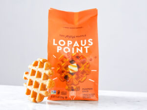 Gluten Free Pumpkin Spice Waffles