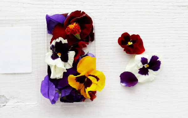 Organic Edible Flowers