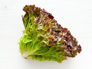Organic Red Leaf Lettuce